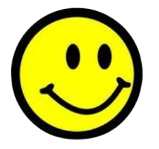 Medan Tour Icon
